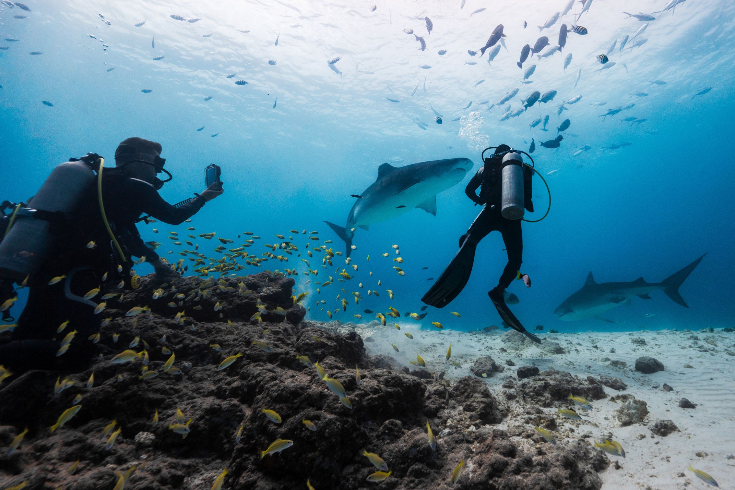 Diseño sin título